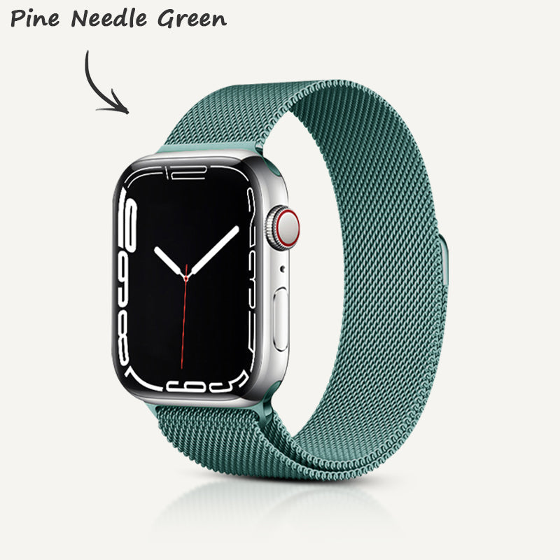Edelstahllegierung Magnetarmband für Apple Watch